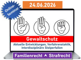 Gewaltschutz – aktuelle Entwicklungen, Verfahrenstaktik